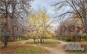 image_6