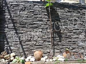 image_11