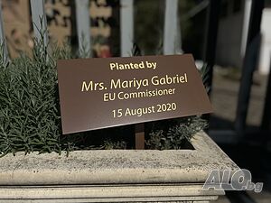 Табела за дърво. Табела випуск. Табела за събитие. Табела за градина или посадено дърво