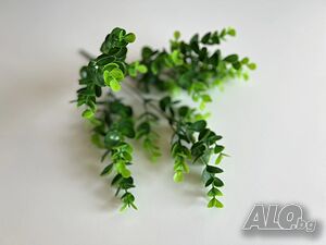 image_2