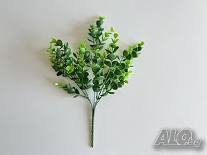 image_3