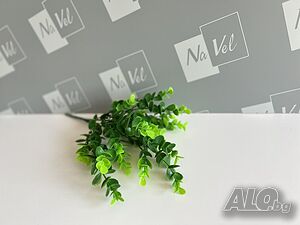 image_4