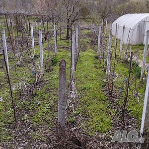 image_14