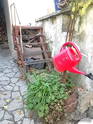 image_6