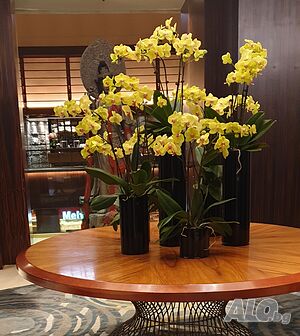 image_5