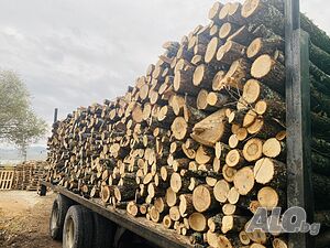 Продавам дърва за огрев