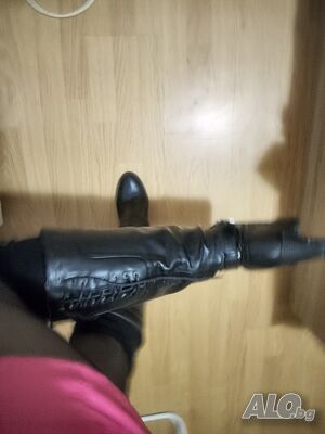 Двойна доминация господарки