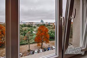image_9