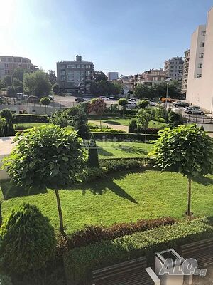 image_11