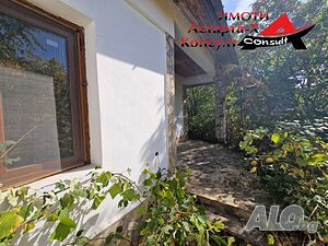 image_6