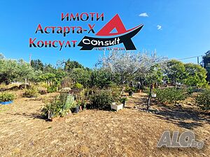 image_7