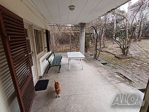 image_9