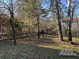 image_5
