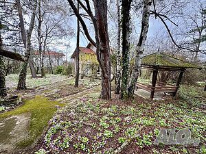 image_15