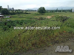 image_11