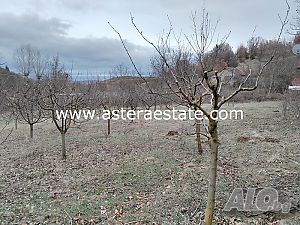 Продава се овощна градина, 1210 кв.м., в с. Дренково, Община Благоевград