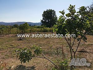 image_12