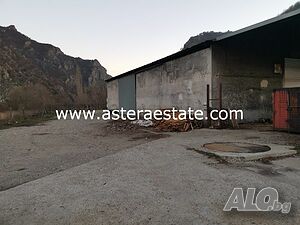 image_11