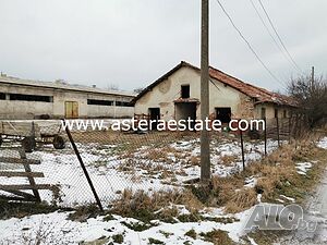 image_7