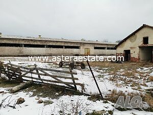 image_8