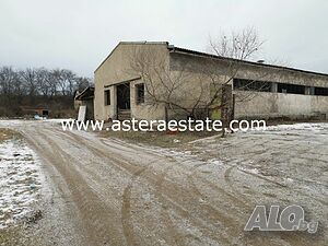 image_11
