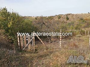 image_7