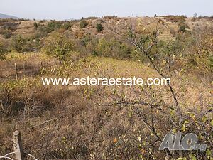 image_9