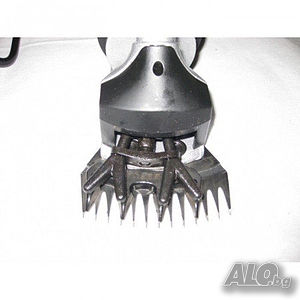 image_5