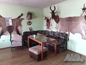 image_11