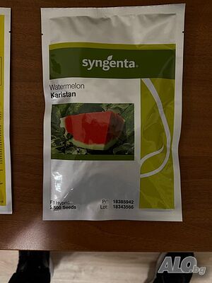 Семена за дини сорт Каристан F1 - Syngenta - 2500 в опаковка