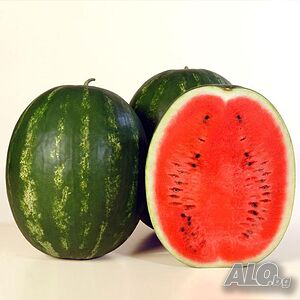 image_6