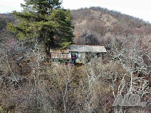 image_7