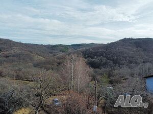 image_8
