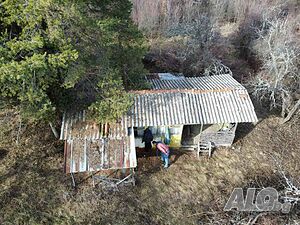 image_9