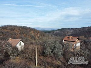 image_10