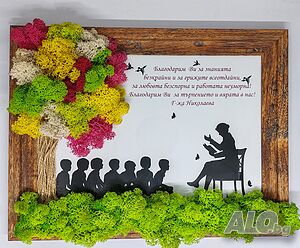 Пано със Скандинавски мъх за Учител