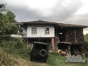 image_4