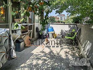 image_11