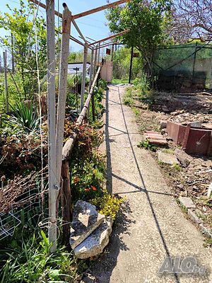 image_6