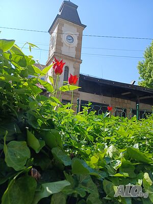 image_11