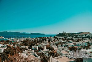 image_5