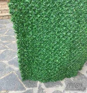 image_5