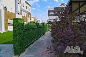image_3