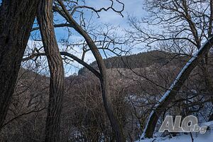 image_9