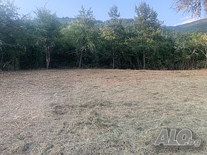 image_4