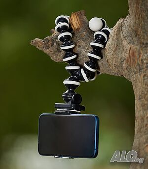 image_3