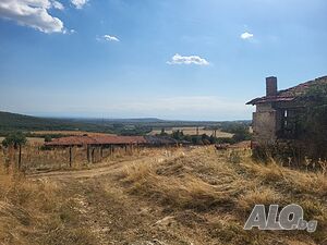 image_5