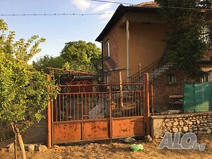 image_6