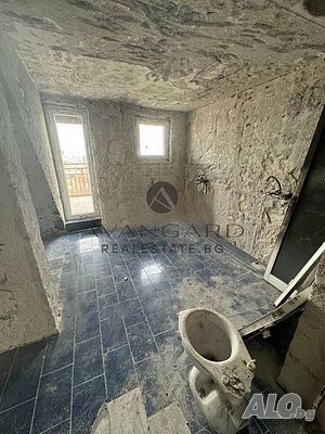 image_11