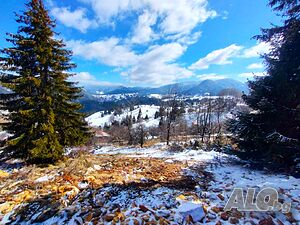 image_7